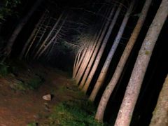 -秦岭风景区