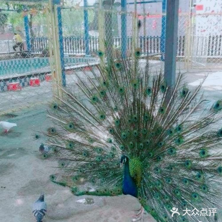 亲子动物乐园,小朋友放电欢乐无限