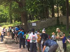 -阳台山自然风景区