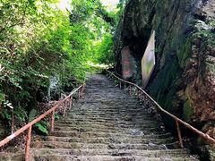-天女山森林公园