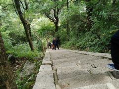-尧山风景区