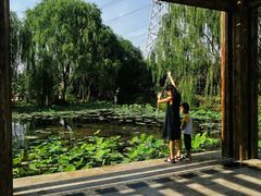 -郑州植物园