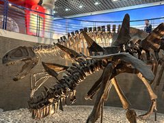 -国家自然博物馆