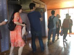 -金山农民画村-枫泾波兰倒置屋