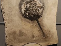 -重庆自然博物馆(新馆)