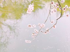 -宣武艺园