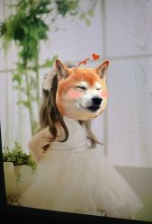 -尤尼可国际影像(万源分店)