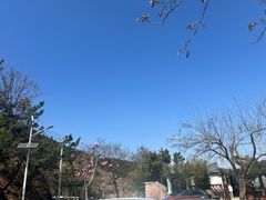 -葛子涧农家宴