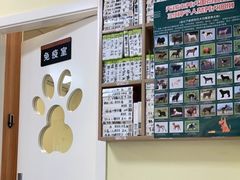 -派联宠物医院·24h·CT·异宠