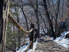 -阳台山自然风景区