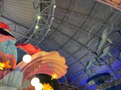 -烟台海昌鲸鲨海洋公园