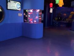 -太平洋海底世界