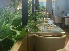 -THE WOODS 简餐 (国贸商城店)