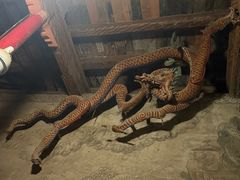 -张掖大佛寺景区