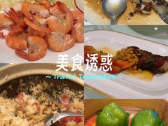 -粤珍轩·家宴·广式茶点(新城广场店)