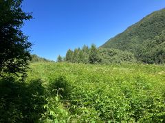-官滩沟风景区
