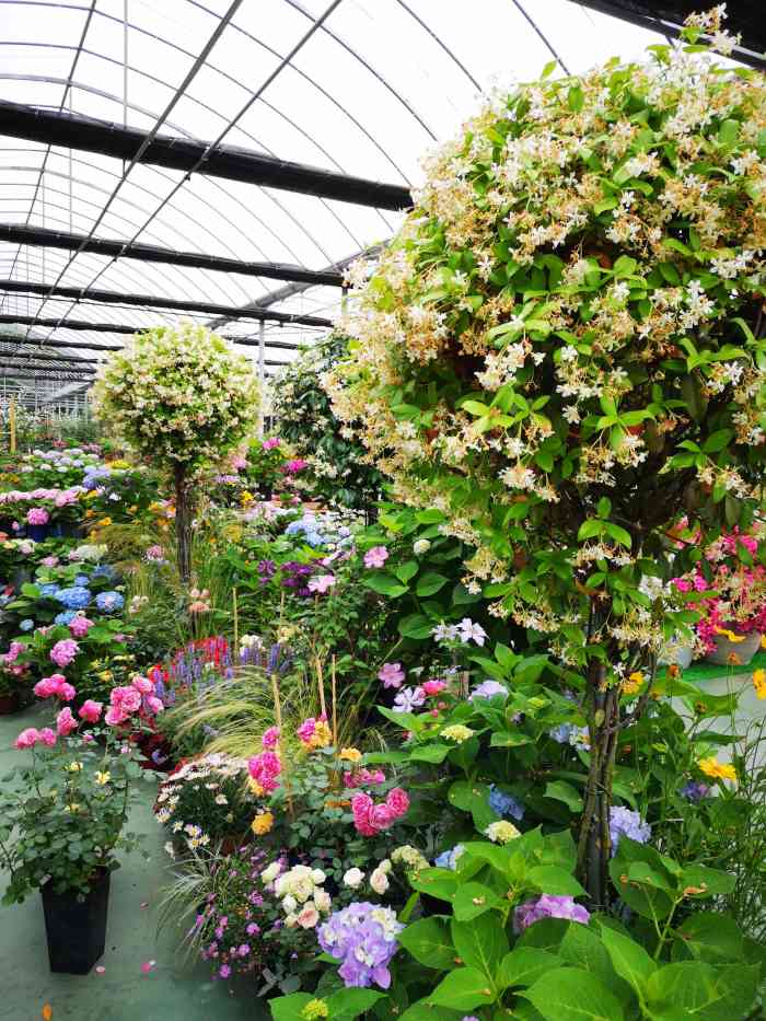 虹越·园艺家(千灯店)-"居住的小区有个园艺群,里面有个虹越的工作.