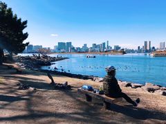 -台场海滨公园船码头