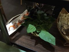 iphone_upload_pic-春润大地海南椰子鸡(沙井京基百纳广场店)