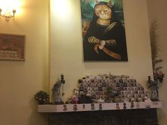 -猫色咖啡·猫咖
