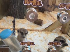-珠海海泉湾神秘岛亲子乐园