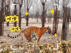 -秦皇岛野生动物园
