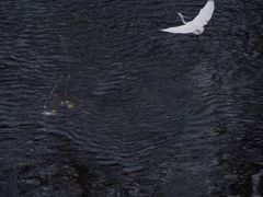-红星桥(地铁站)