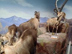 -陕西自然博物馆