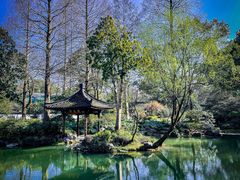 -杭州植物园