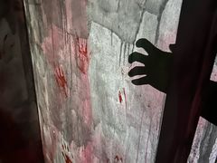 -Xcape异时刻密室逃脱魔法互动(瑞虹天地太阳宫店)