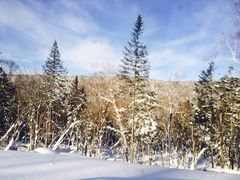 iphone_upload_pic-雪谷