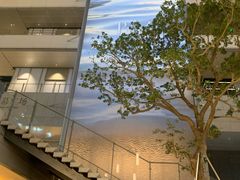 -深圳湾万象城(南山店)