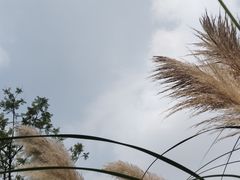 -府河摄影公园