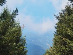 -白草畔自然风景区