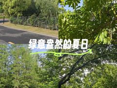-习家池