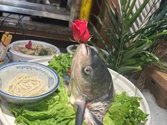 -鸽子窝(青塔店)