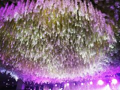 -东方御花园酒店
