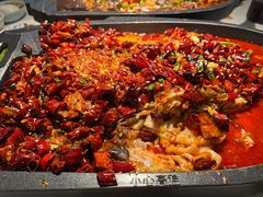 -江边城外烤全鱼(世茂广场店)