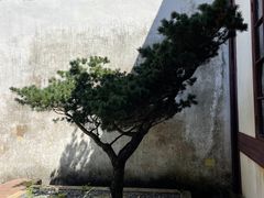 -宁波市保国寺古建筑博物馆