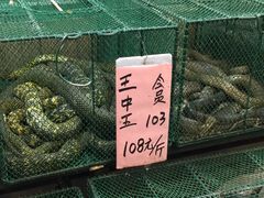 -荔城生鲜盛宴(番禺旗舰店)