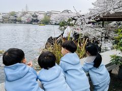 -硅谷蒙学幼儿园