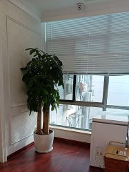 -武汉五洲整形外科医院