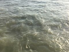 -演武大桥观景平台