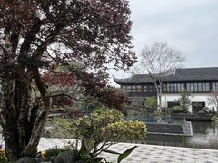 -杭州西子湖四季酒店-WL BISTRO西湖餐厅