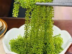 -鸟泉居酒屋·烧鸟·酒馆(百子湾店)