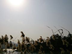 android_upload_pic-天目湖涵田度假村