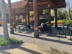 -上海野生动物园老虎餐厅