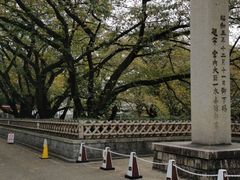-名古屋城