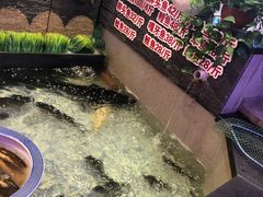 -山河屯铁锅炖(哈西站店)