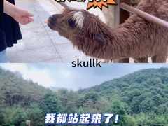 -杭州野生动物世界